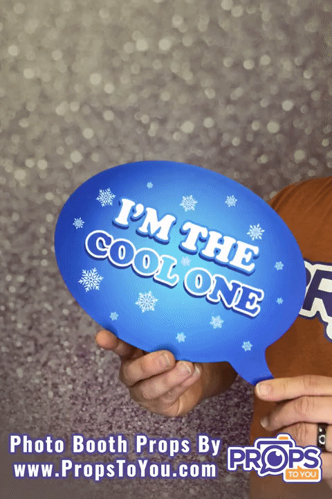 BUNDLE! Fun Signs Bundle - 5 Double-Sided Photo Booth Props