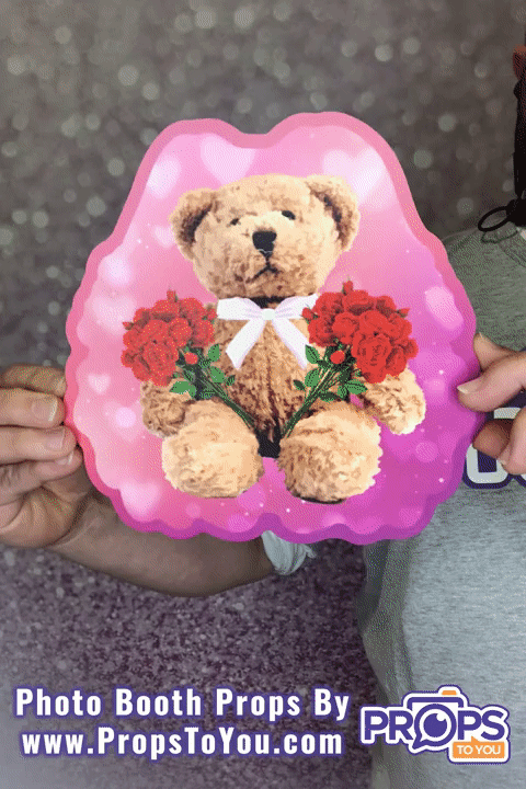 BUNDLE! Valentine - Classic - 6 Double-Sided Photo Booth Props