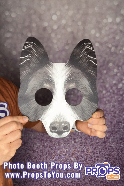 BUNDLE! Dog Masks - 5 Double-Sided Photo Booth Props