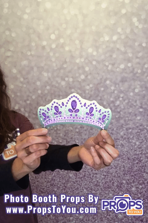 BUNDLE! Sweet 16 - 5 Double-Sided Photo Booth Props