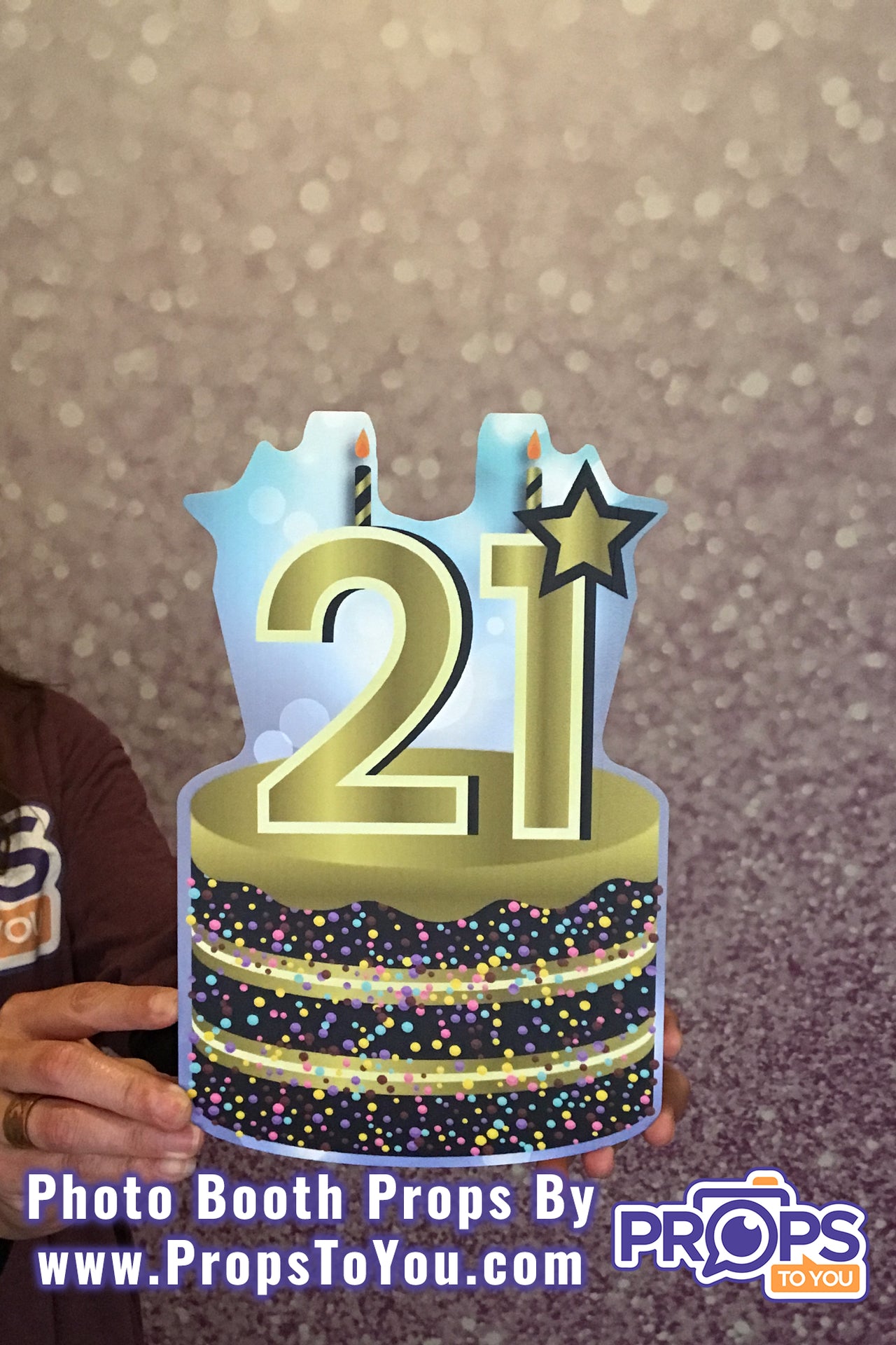 BUNDLE! 21st Birthday - 5 Double-Sided Photo Booth Props