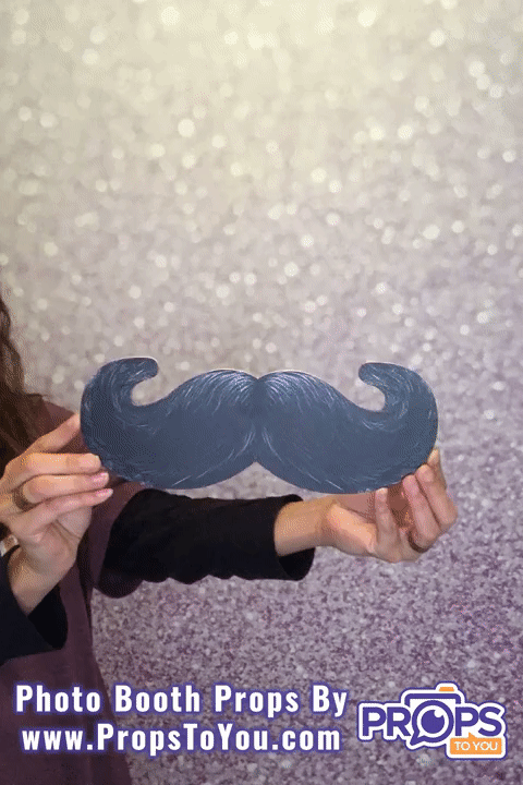 BUNDLE! 21st Birthday - 5 Double-Sided Photo Booth Props