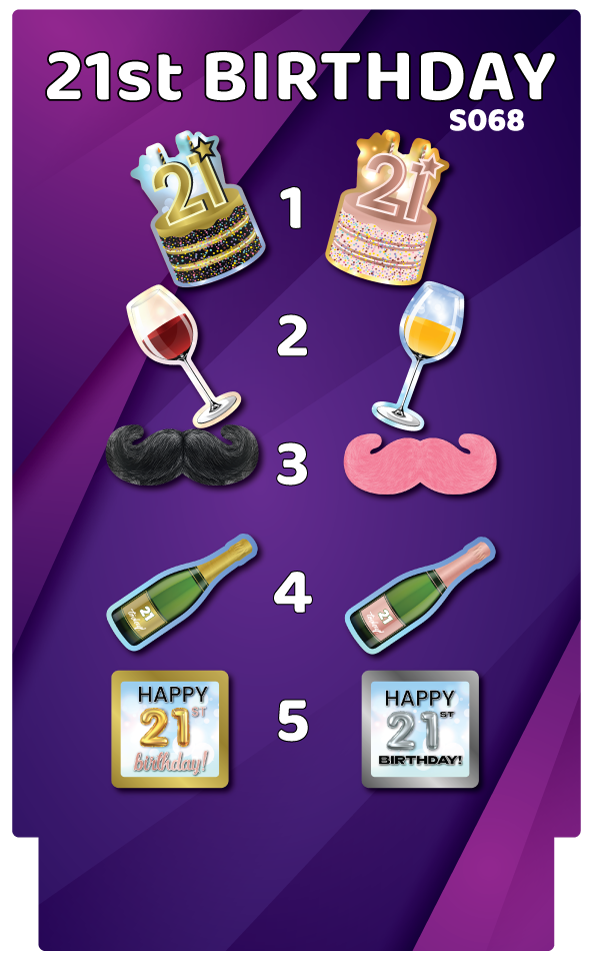 BUNDLE! 21st Birthday - 5 Double-Sided Photo Booth Props