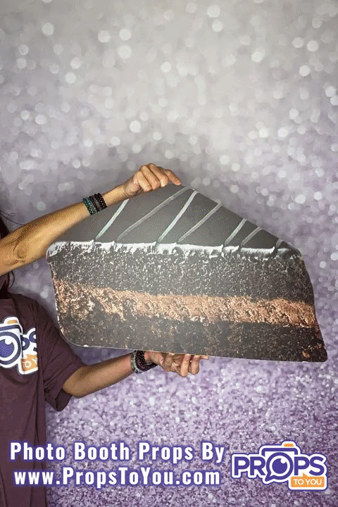 BIG Props: Chocolate/Rainbow Cake Slice Photo Booth Prop
