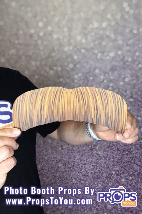 BUNDLE! Mustaches -5 Double-Sided Photo Booth Props