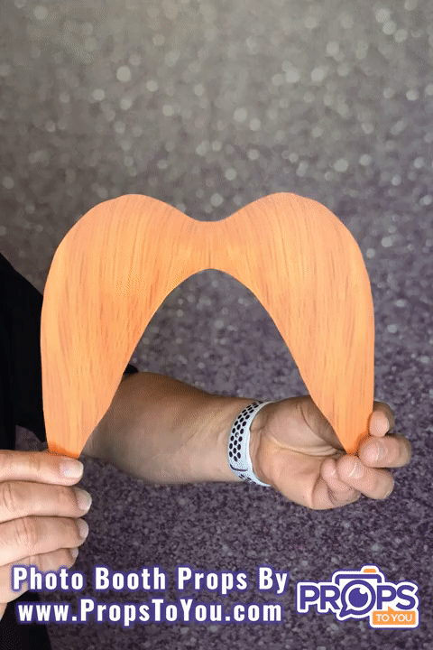 BUNDLE! Mustaches -5 Double-Sided Photo Booth Props