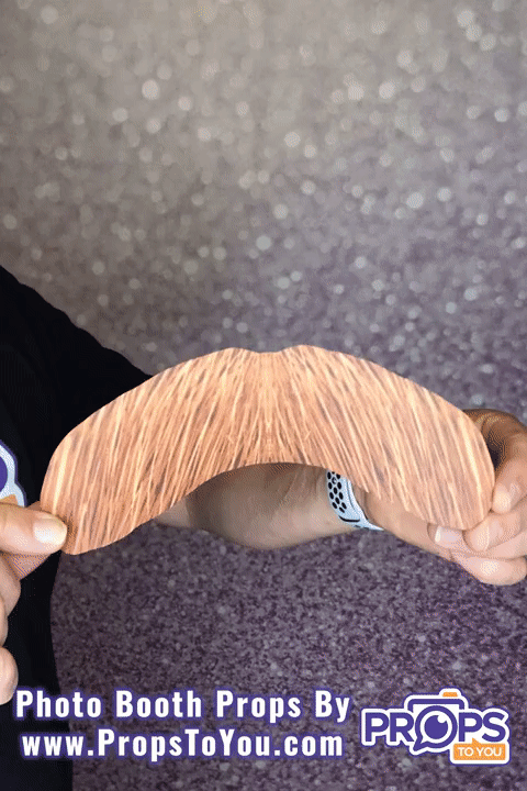 BUNDLE! Mustaches -5 Double-Sided Photo Booth Props