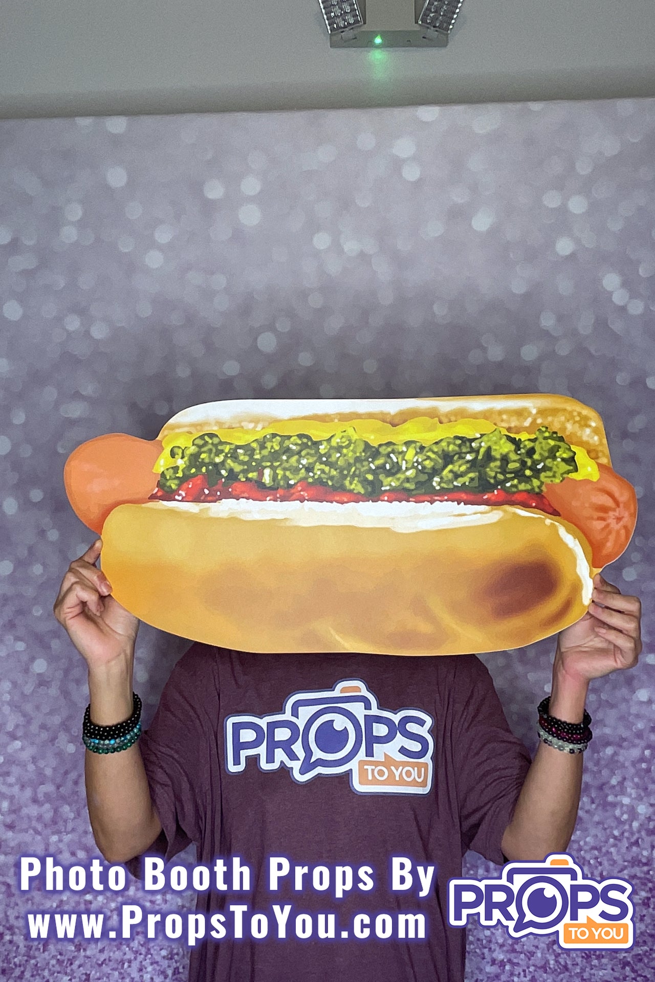 BIG Props: Regular/Chicago Style Hot Dog Photo Booth Prop