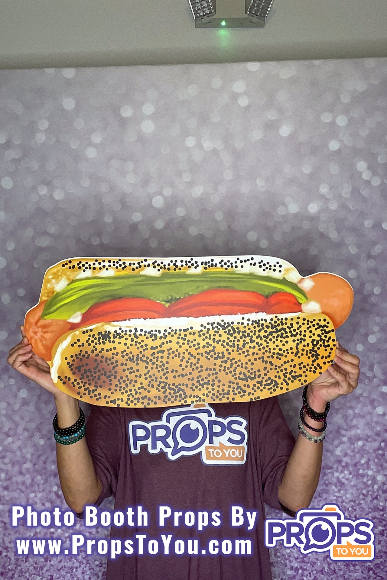 BIG Props: Regular/Chicago Style Hot Dog Photo Booth Prop