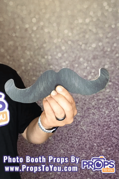 BUNDLE! Mustaches -5 Double-Sided Photo Booth Props
